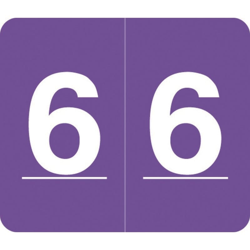 Barkley VA Hospital Compatible Numeric "6" Labels, Laminated Stock, 1/2" X 1" Individual Numbers - Roll of 1000