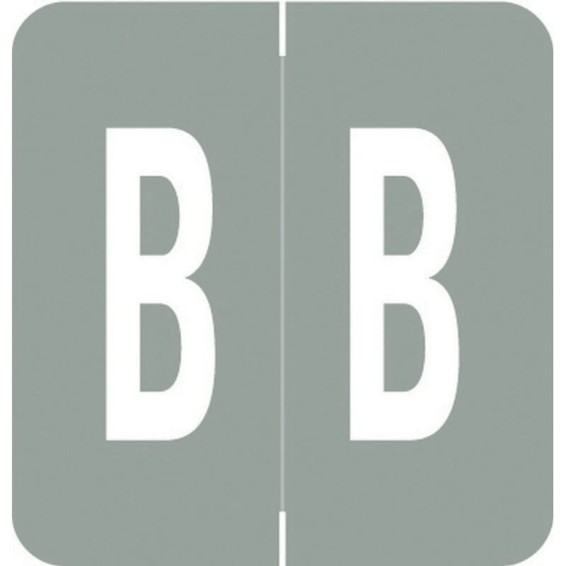 VRE/GBS Compatible "B" Labels, Polylaminated Stock, 1.3 " X 1-1/4" Individual Letters - Rolls of 250