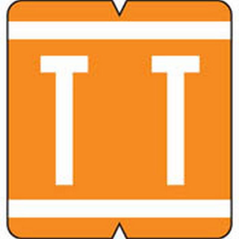 VRE/GBS Compatible "T" Labels, Polylaminated Stock, 1.3 " X 1-1/4" Individual Letters - 200 Per Pack